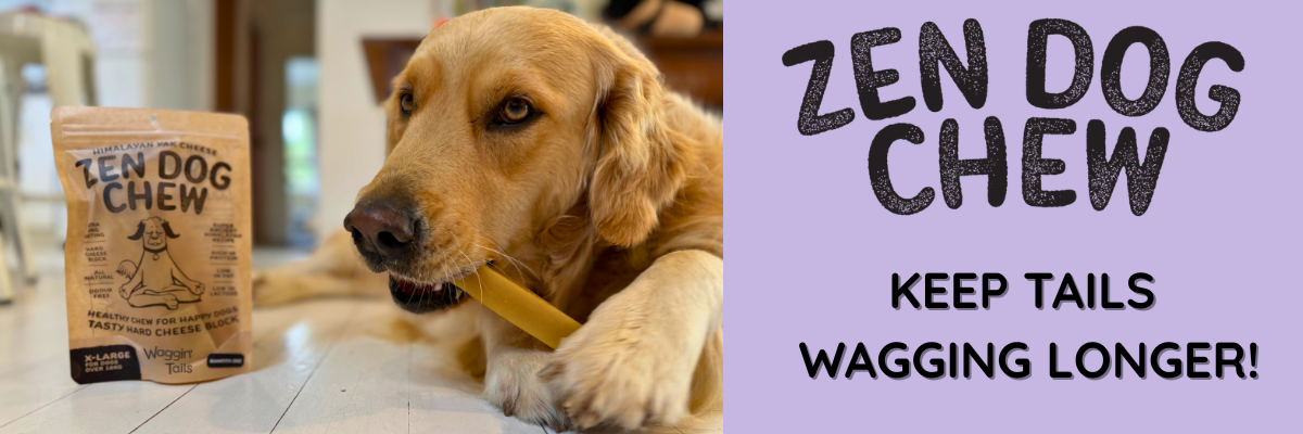 Home 2 ZEN DOG HERO BANNER 1